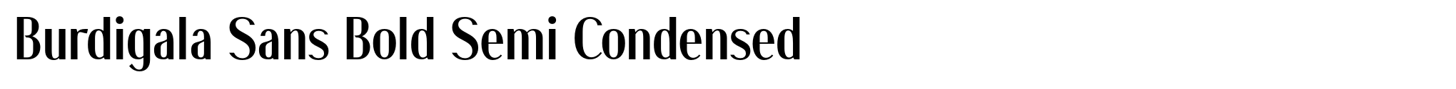 Burdigala Sans Bold Semi Condensed image
